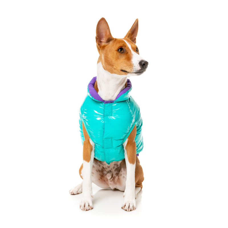 FuzzYard Dog Apparel Amor Puffer Jacket Turquoise and Purple Size 1^^^