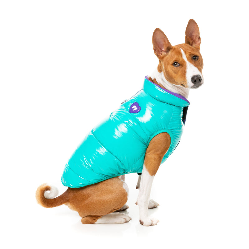 FuzzYard Dog Apparel Amor Puffer Jacket Turquoise and Purple Size 1 XXSmall***