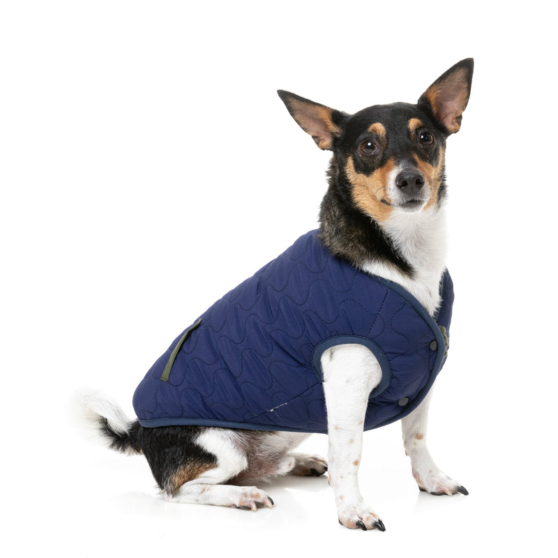FuzzYard Dog Apparel Nara Reversible Jacket Dark Moss and Navy Blue Size 5^^^