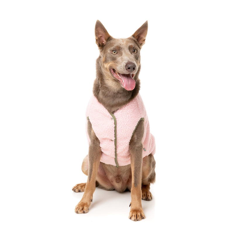 FuzzYard Dog Apparel Nara Reversible Jacket Pink and Green Size 5 Large***