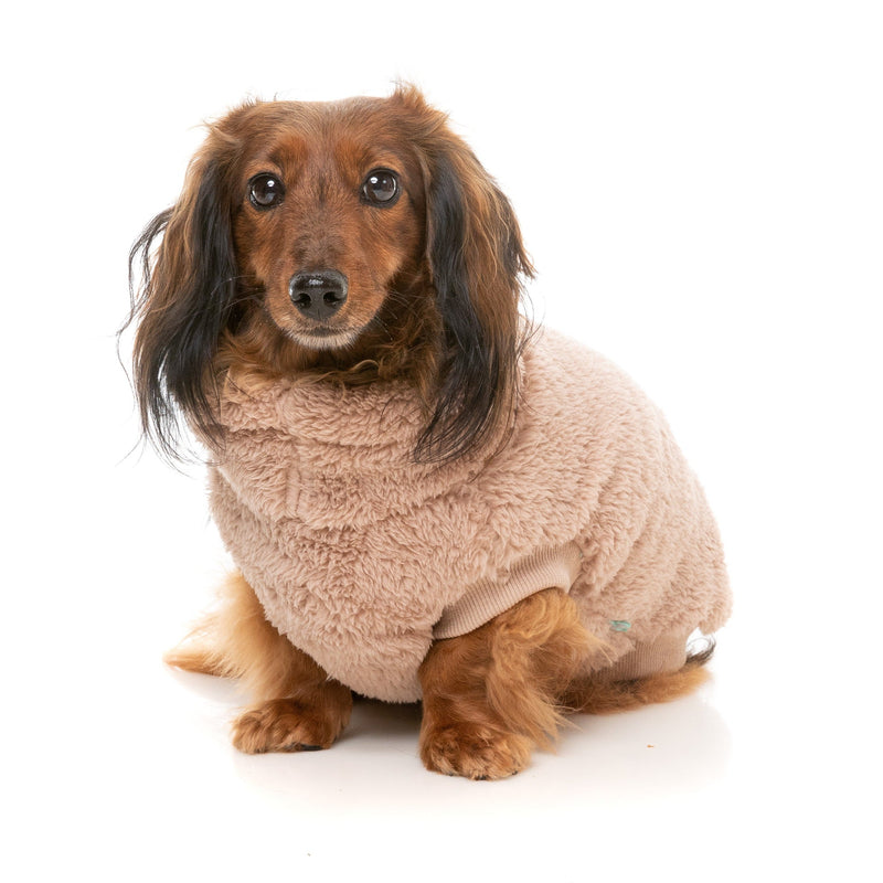 FuzzYard Dog Apparel Turtle Teddy Sweater Chai Size 6^^^
