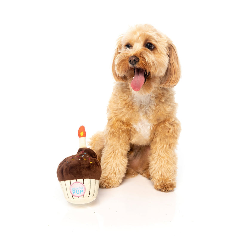 FuzzYard Dog Toy Birthday Cupcake^^^