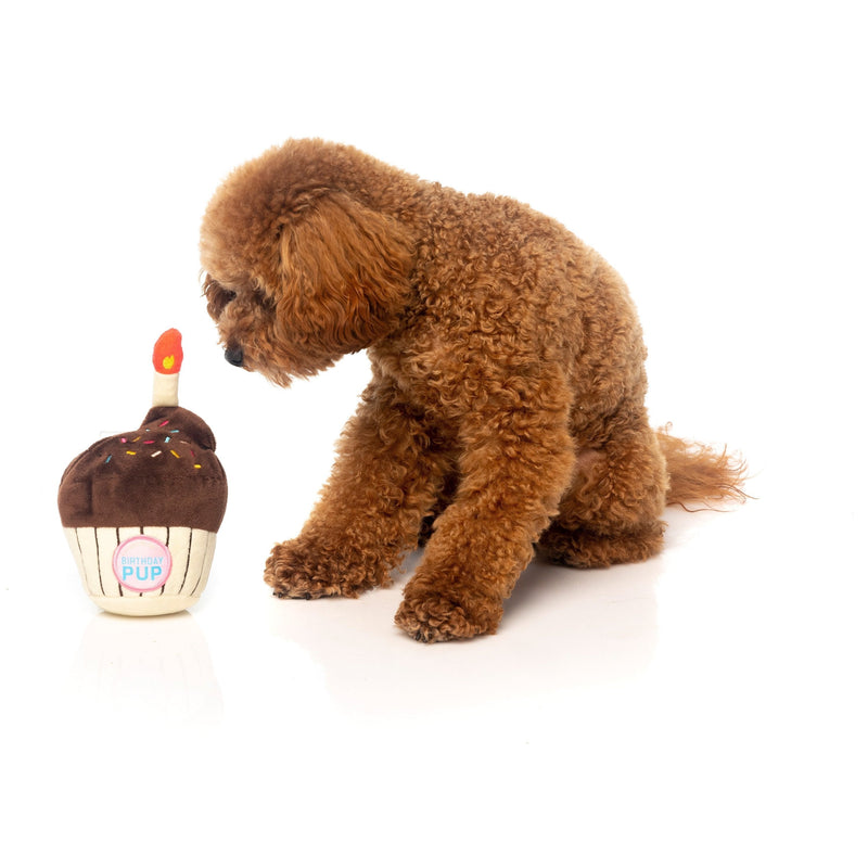 FuzzYard Dog Toy Birthday Cupcake^^^