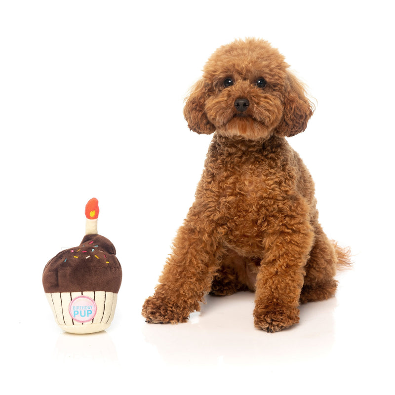 FuzzYard Dog Toy Birthday Cupcake^^^