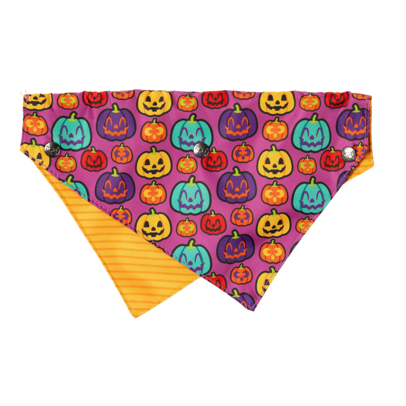 FuzzYard Halloween Bandana and Bow Tie Set Oh My Ghourd! For Medium to Large Size Dogs