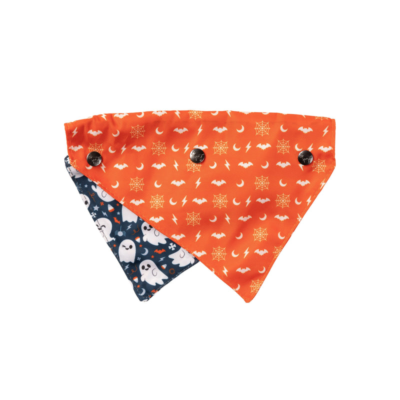 FuzzYard Halloween Bandana and Bow Tie Set Thats the Spirit for Medium to Large Size Dogs***