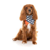 FuzzYard Halloween Bandana and Bow Tie Set Thats the Spirit for Medium to Large Size Dogs***