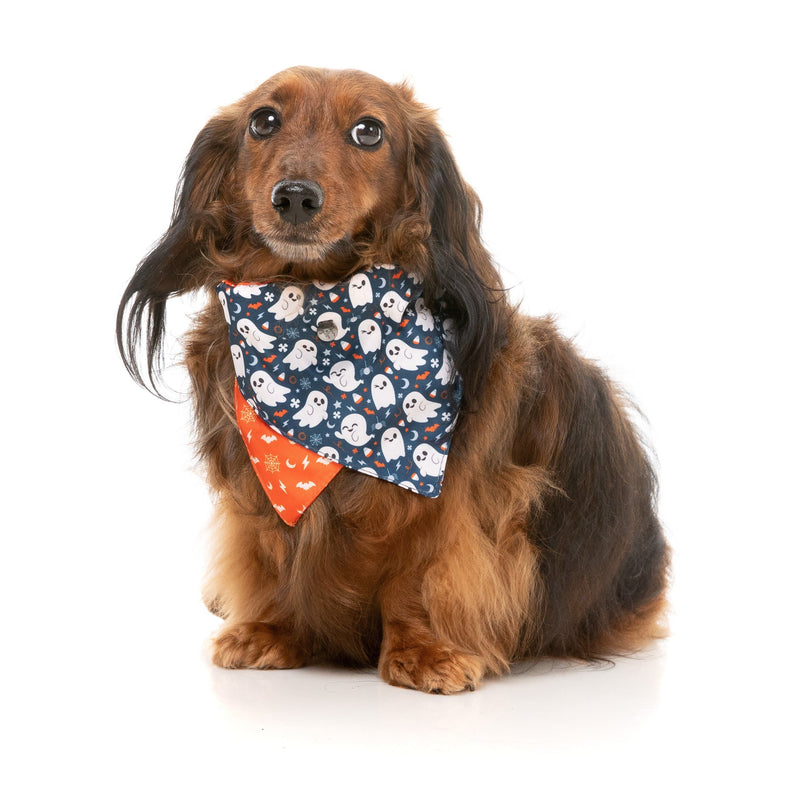 FuzzYard Halloween Bandana and Bow Tie Set Thats the Spirit for Medium to Large Size Dogs***