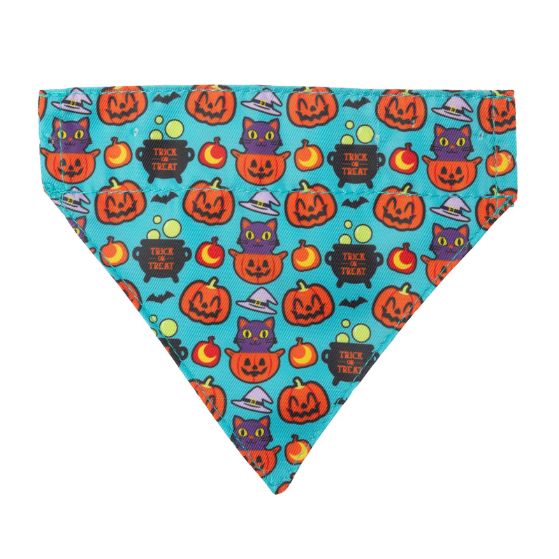 FuzzYard Halloween Cat Bow Tie Collar and Bandana Set 3 Pack***