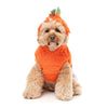 FuzzYard Halloween Dog Apparel Pumpkin Head Hoodie Size 1