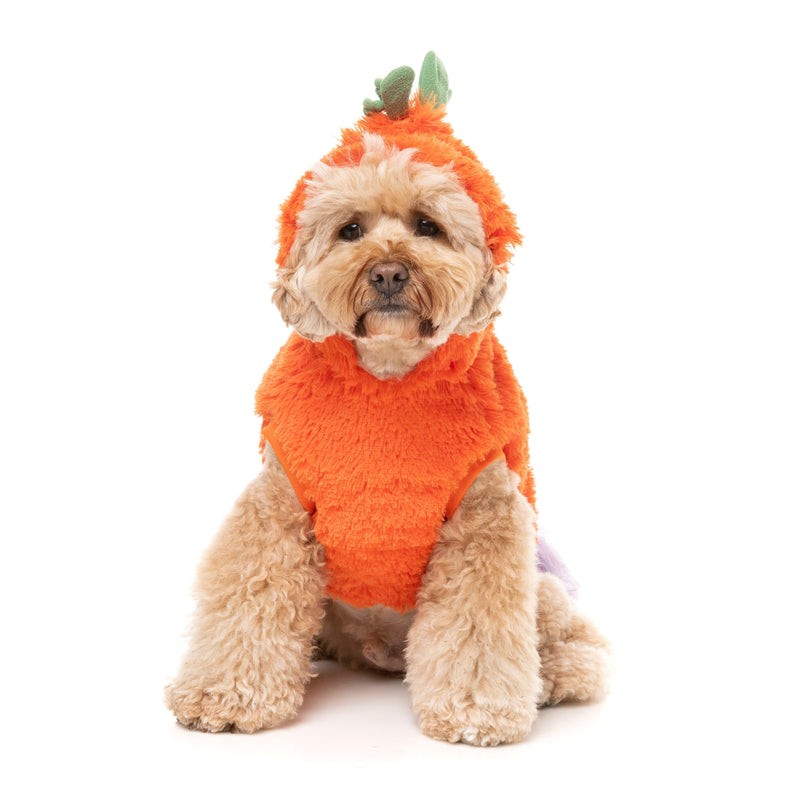 FuzzYard Halloween Dog Apparel Pumpkin Head Hoodie Size 1