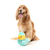 FuzzYard Waddle Squad-dle Ducktor Plush Dog Toy^^^