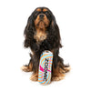 FuzzYard Zoomie Energy Drink Soft Dog Toy^^^