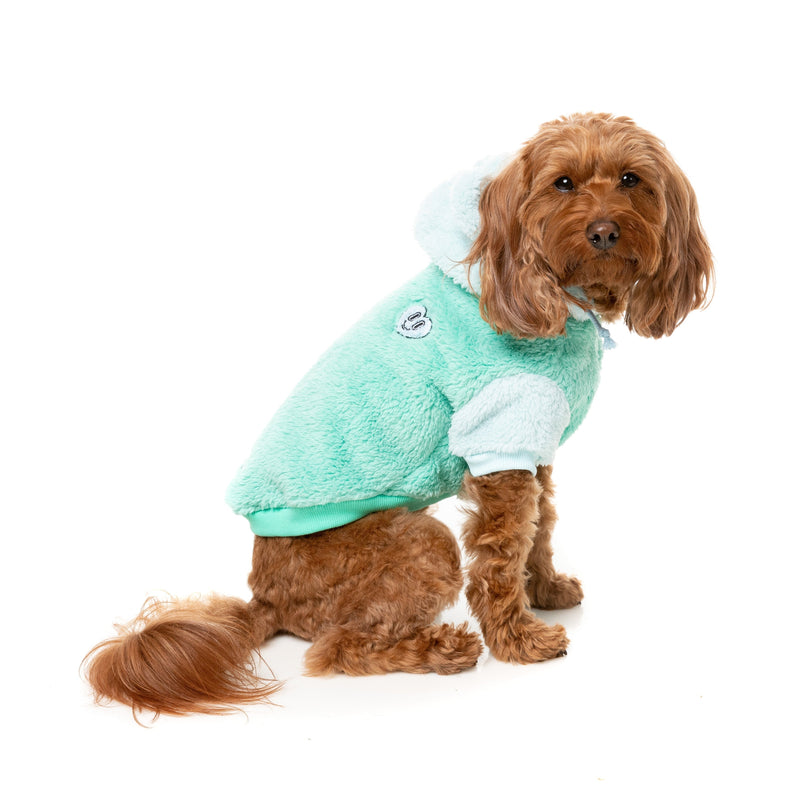 Fuzzyard Dog Apparel Winnie Hoodie Teal Size 2-Habitat Pet Supplies