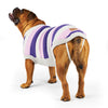 Kazoo Apparel Bumble Dog Jumper Lavender Intermediate Medium***