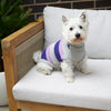 Kazoo Apparel Bumble Dog Jumper Lavender Intermediate Medium***