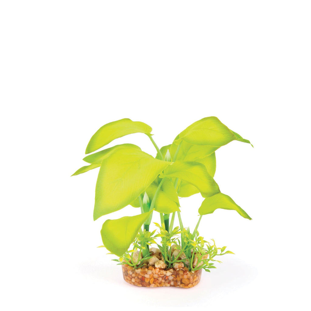 Kazoo Aquarium Artificial Plant Green Silk with Large Leaves 15cm-Habitat Pet Supplies