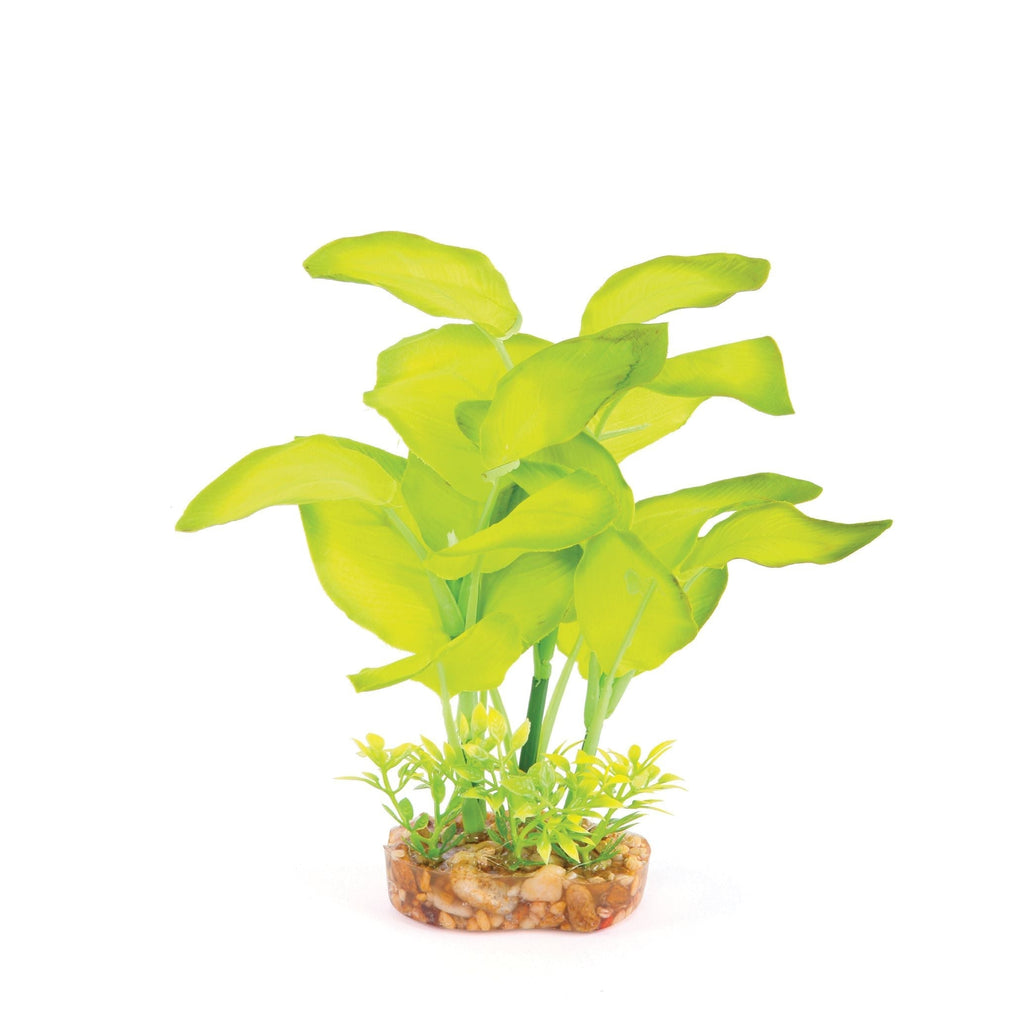 Kazoo Aquarium Artificial Plant Green Silk with Large Leaves 20cm***-Habitat Pet Supplies