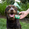 Kazoo Christmas Tree Cookie Dog Treat***