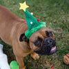 Kazoo Christmas Tree Hat for Dogs***