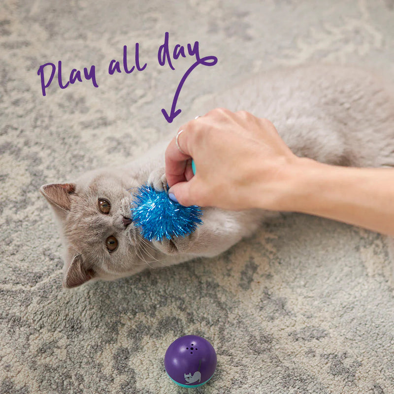 Kazoo Pom Pom Ball Cat Toy^^^