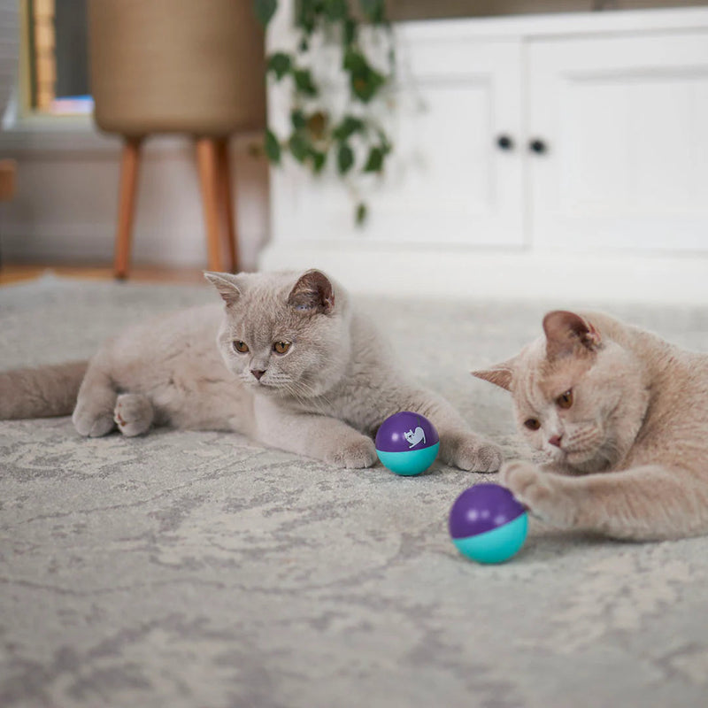 Kazoo Wobble Ball Cat Toy^^^