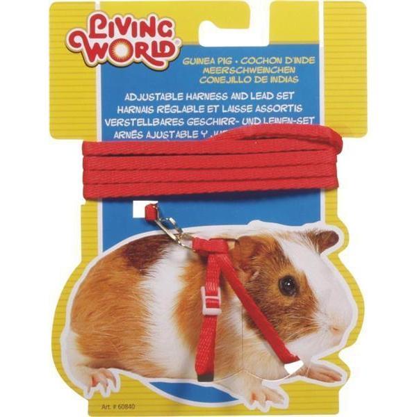 Living World Guinea Pig Harness and Lead Red***-Habitat Pet Supplies