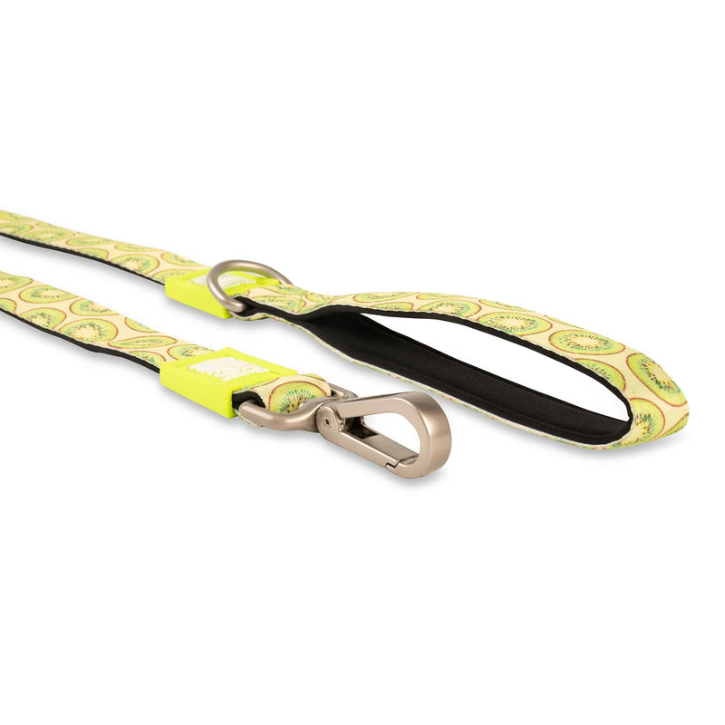 Max & Molly Kiwi Dog Lead Small