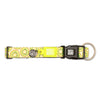 Max & Molly Kiwi Smart ID Dog Collar Extra Small