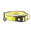 Max & Molly Kiwi Smart ID Dog Collar Extra Small-Habitat Pet Supplies