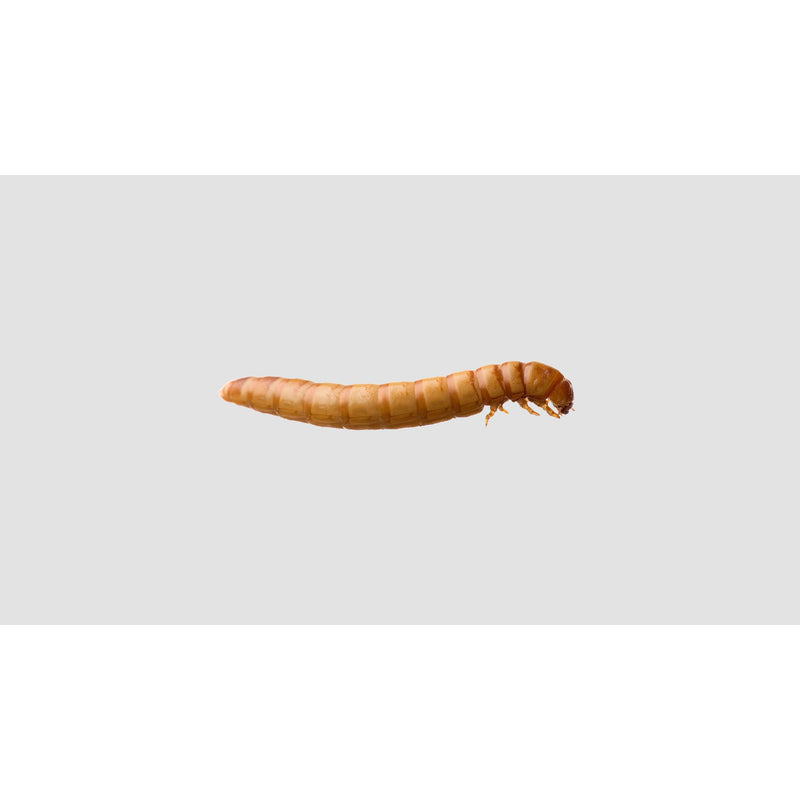 Mealworms Mini 25G^^^