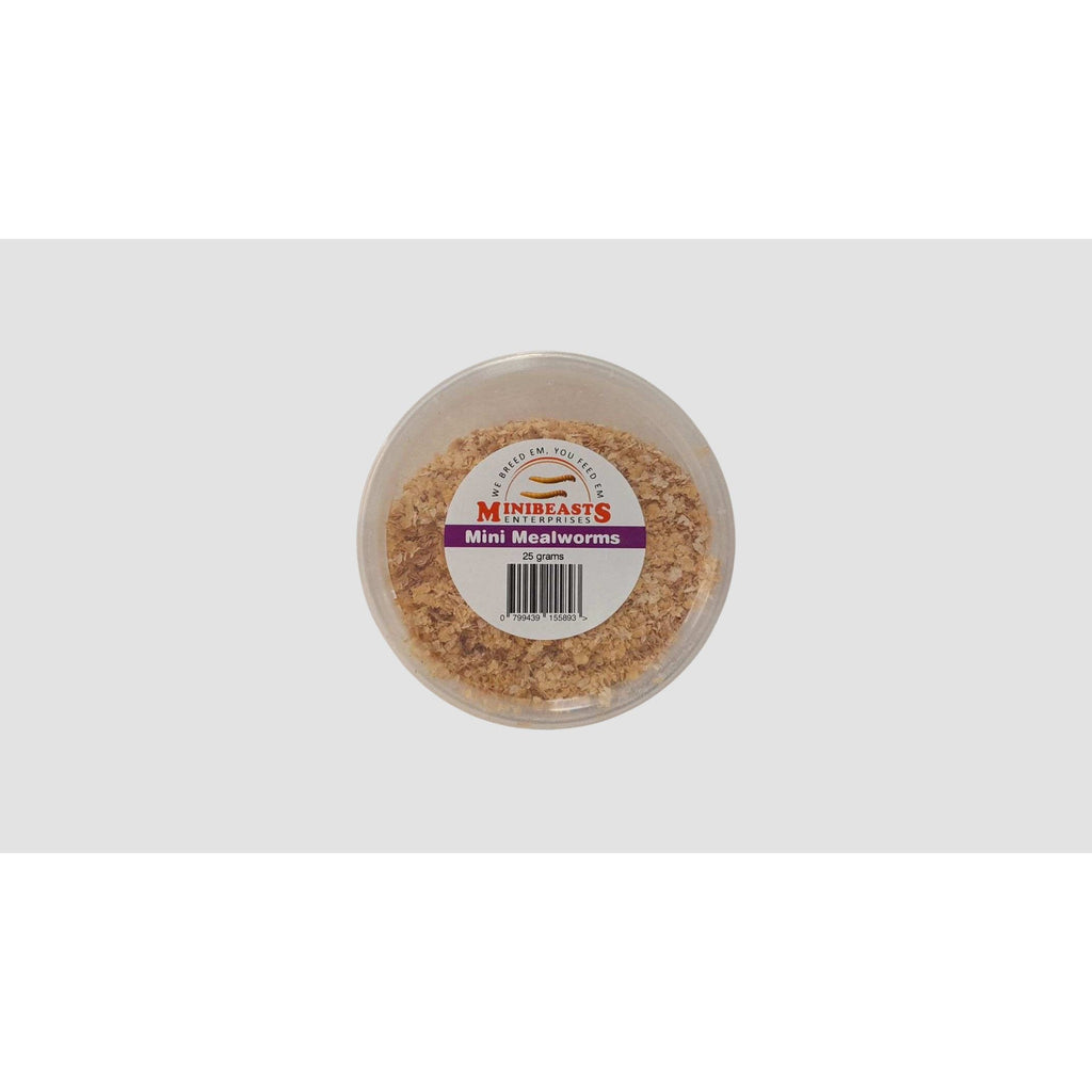 Mealworms Mini 25G-Habitat Pet Supplies