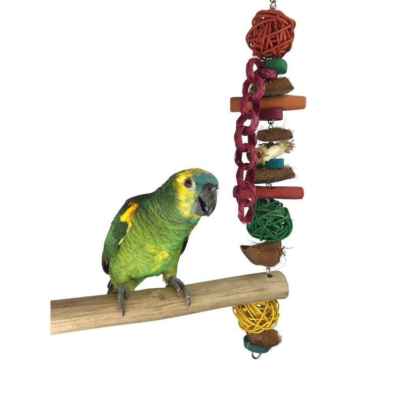 Ninos Java Giant Swing for Birds-Habitat Pet Supplies