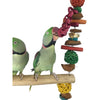 Ninos Java Giant Swing for Birds