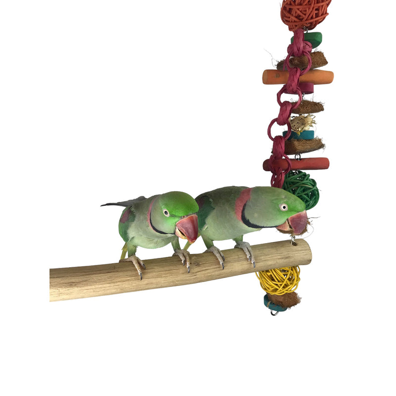 Ninos Java Giant Swing for Birds