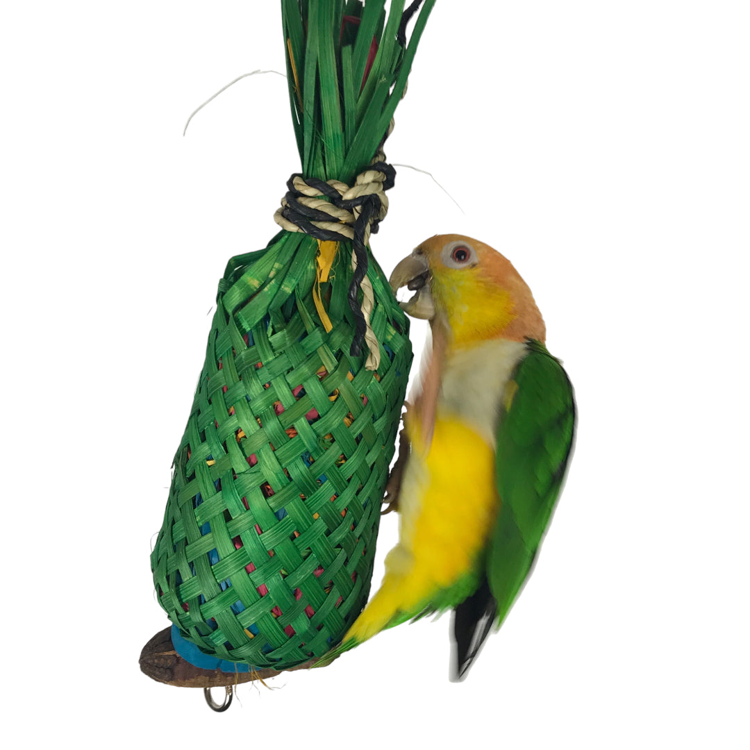 Pineapple 2024 foraging toy