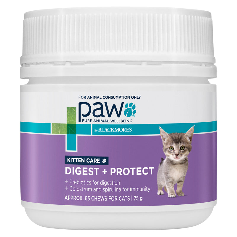 PAW by Blackmores Digest and Protect Kitten Care Chews 75g-Habitat Pet Supplies