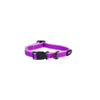 Rogz Classic Amphibian Purple Dog Collar Medium^^^-Habitat Pet Supplies