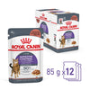 Royal Canin Appetite Control with Gravy Wet Food Pouch 85g x12^^^-Habitat Pet Supplies