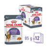 Royal Canin Appetite Control with Jelly Wet Food Pouch 85g x12*~*-Habitat Pet Supplies