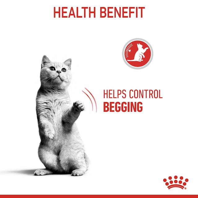 Royal Canin Cat Appetite Control Dry Food 2kg*~*