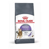 Royal Canin Cat Appetite Control Dry Food 2kg*~*-Habitat Pet Supplies