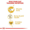 Royal Canin Cat British Shorthair Adult Dry Food 10kg*~*