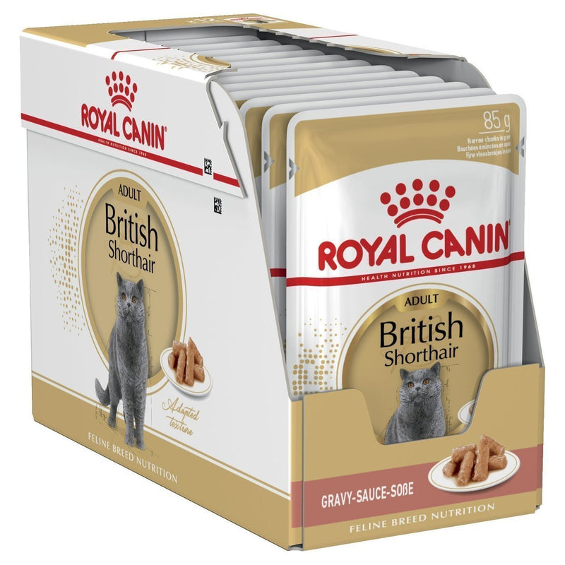 Royal Canin Cat British Shorthair Adult Wet Food Pouches 85g x 12^^^-Habitat Pet Supplies