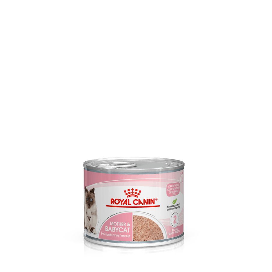 Royal Canin Cat Mother and Babycat with Mousse Wet Food Can 195g x 12<3 <3 <3-Habitat Pet Supplies