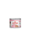 Royal Canin Cat Mother and Babycat with Mousse Wet Food Can 195g x 12^^^-Habitat Pet Supplies