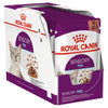 Royal Canin Cat Sensory Feel Gravy Adult Wet Food Pouches 85g x 12^^^-Habitat Pet Supplies