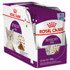 Royal Canin Cat Sensory Feel Jelly Adult Wet Food Pouches 85g x 12^^^-Habitat Pet Supplies