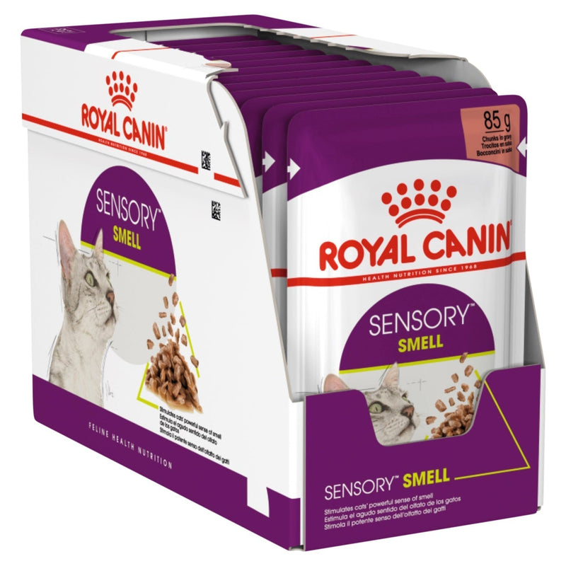 Royal Canin Cat Sensory Smell Gravy Adult Wet Food Pouches 85g x 12^^^-Habitat Pet Supplies