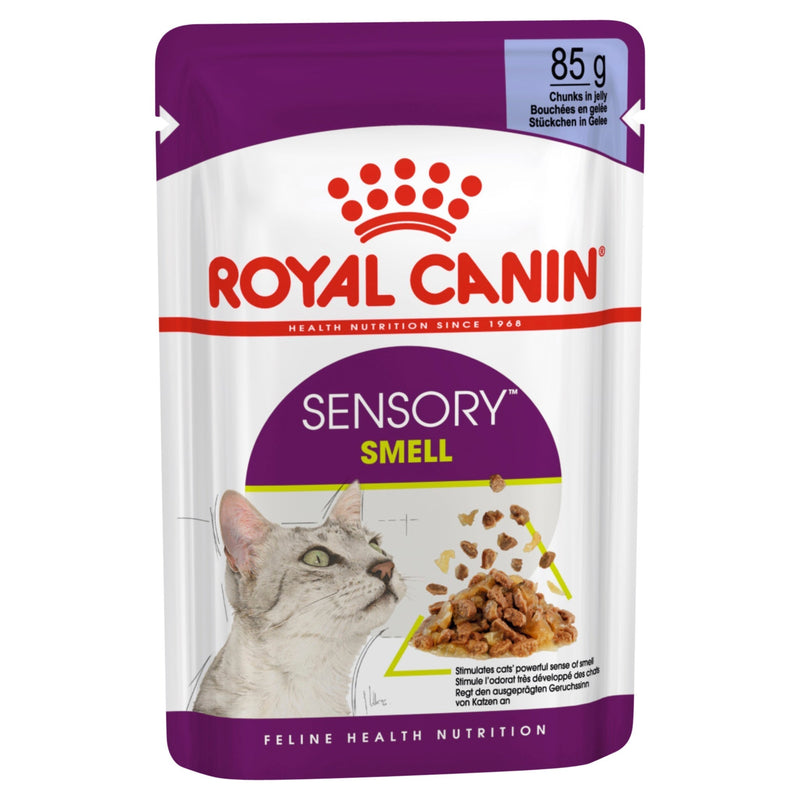 Royal Canin Cat Sensory Smell Jelly Adult Wet Food Pouch 85g^^^-Habitat Pet Supplies